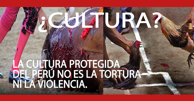 Corridas de toros: ¿Patrimonio cultural por Sentencia del TC-2011?