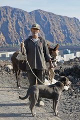 A man, his dog and his donkey in Chã das Caldeiras - volcano Pico do Fogo on the island of Fogo - Cape Verde