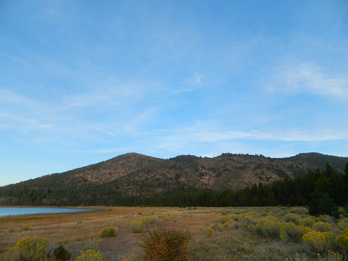 lake edge shoreline shore waterfowl birds deer mountains forest california lakes sunset calm autumn