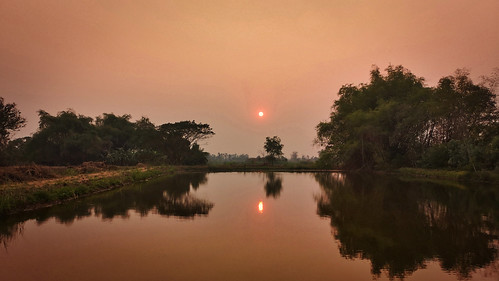 dusk twilight reflection sunset lake pond sky haze trees night fog green thailand sukhothai sugarcane pollutants smog