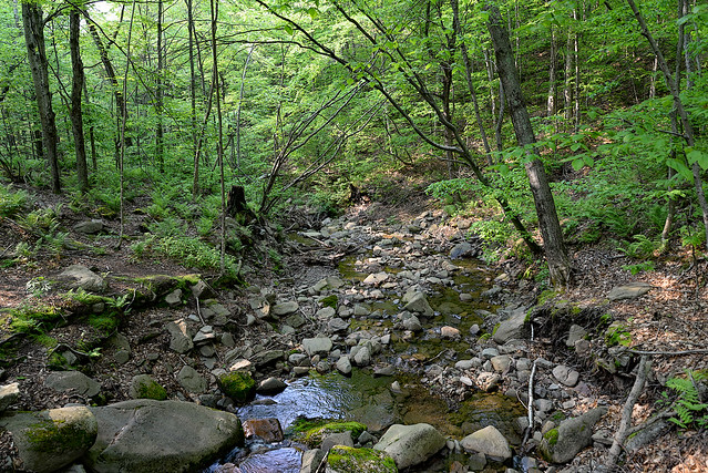 Woodside Stream