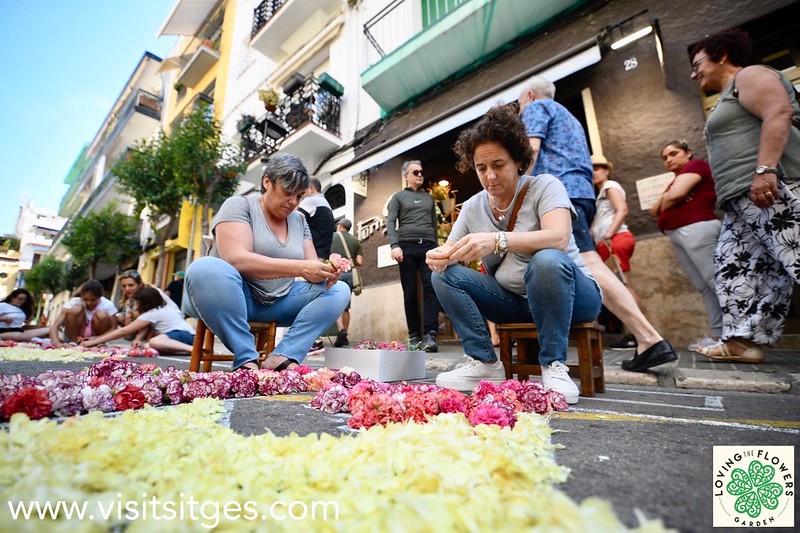 Réalisation de tapis de fleurs dans des rues.