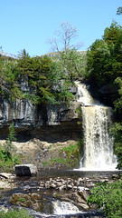 Ingleton Waterfalls Trail - Thornton Force (3)
