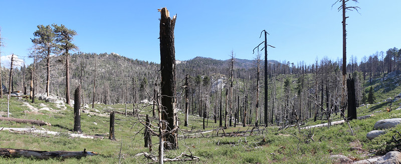 Panorama shot looking south toward Tahquitz Peak and Laws Camp in the burned zone from the Caramba Trail