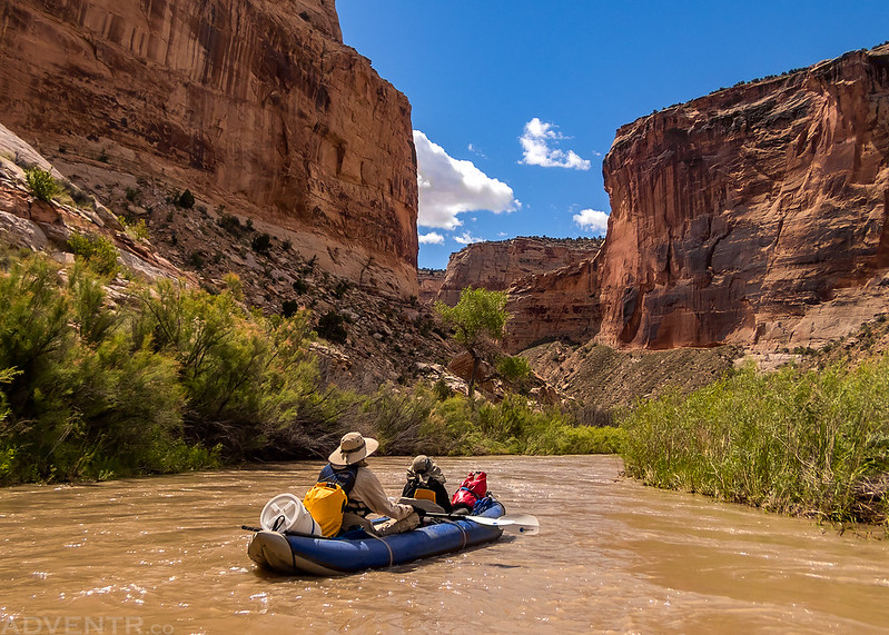 Into The Canyon