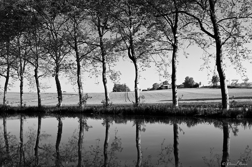 Réflexions le long du canal (IMGP2216 - Version 2) by Dnl75, La marche à pied est toujours propices aux réflexions !canal canaldumidi france landscape reflexion 