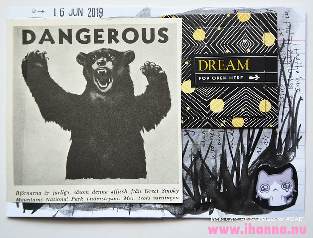 ICAD July 16 2019: Dangerous black bear