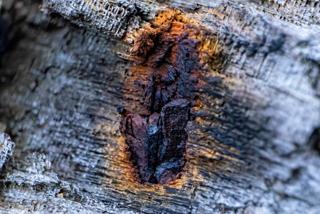 Rust On Oak Macro of rust marked wood | Wood belonging to a rotten boat … | Flickr