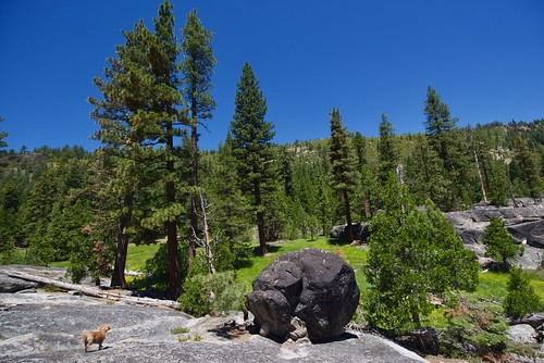 Schneider Meadow