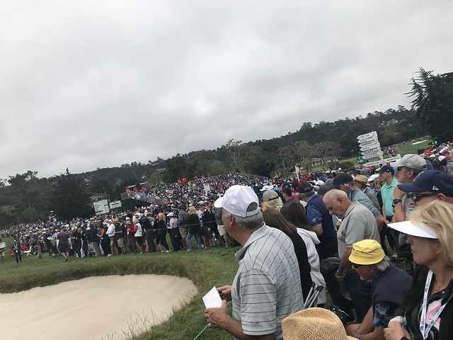 US open crowd waits for tiger woods