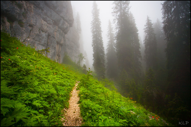 Misty trails