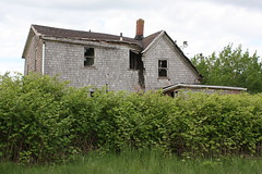 Abandoned House 5