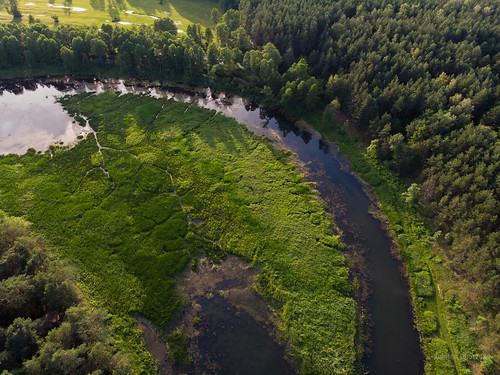djimavicair dji landscape river narew polska poland aerial nature europe outside green srgb