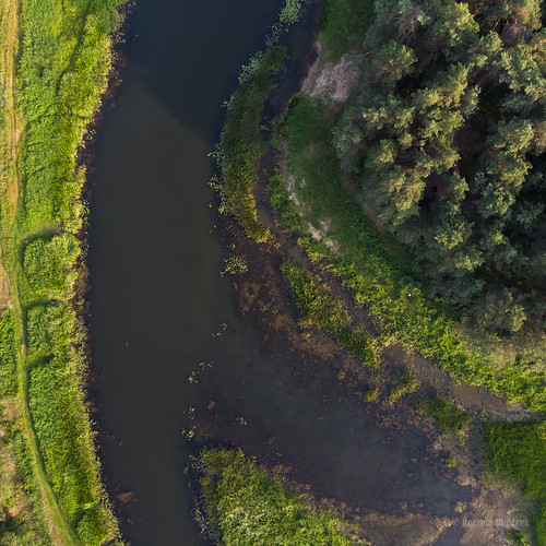 djimavicair dji landscape river narew nature poland polska aerial europa outside water srgb