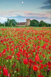 St James' Church and Poppies