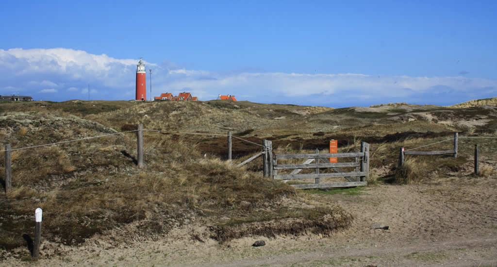 Lighthouse Texel, De Cocksdorp | Your Dutch Guide