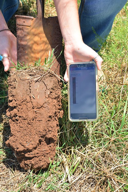 A soil sample besides the SoilWeb app
