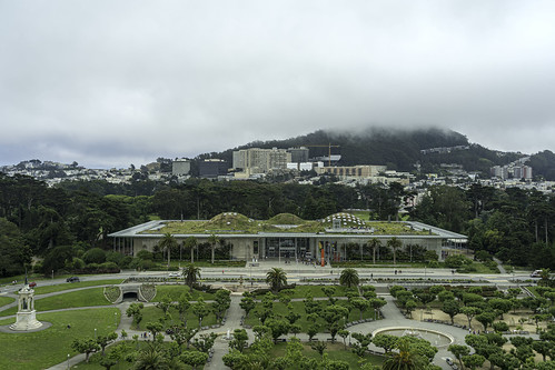 view living roof academy science from de young museum tower golden gate park san francisco california