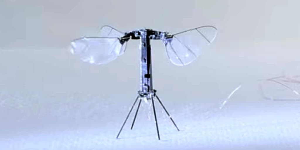 robot-volant-de-harvard-inspiré-des-insectes
