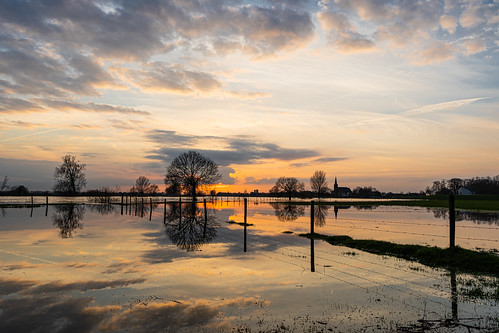 maas trees sky flood appeltern sunset river water gelderland netherlands