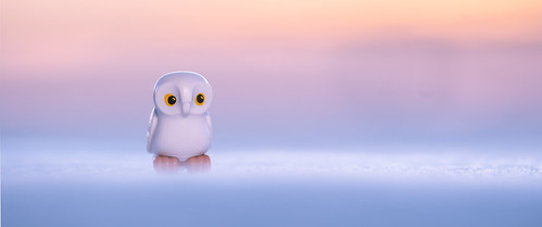 owl playmobil reiterlied snow stuckinplastic sunrise toy winter