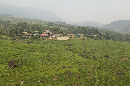 vietnam asia canon ricefields green agriculture pùluôngnaturereserve pùluông naturereserve landscape nature mountains house