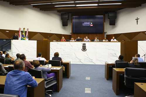 Audiência pública para debater o cumprimento do piso salarial nacional dos cargos de ACS e ACE  - Comissão de Saúde