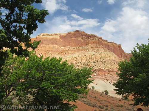 Cliffs above the Fruita orchards in Capitol Reef National Park, Utah