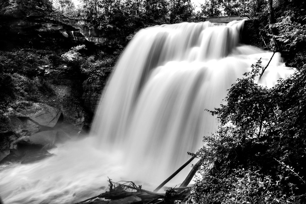 I Started Out from a Restful Sleep and Realized That Today Was a Beautiful Day! (Black & White, Cuyahoga Valley National Park)