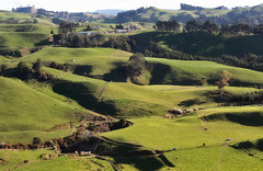 Rural New Zealand.