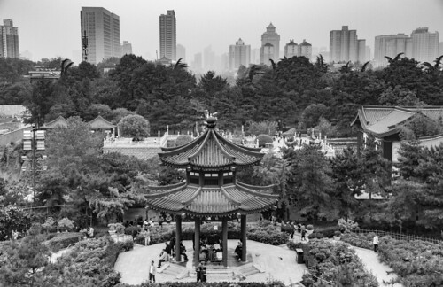 china xian giantwildgoosepagoda