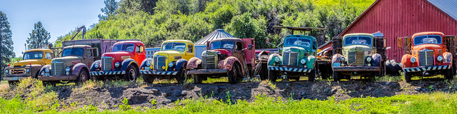 line of old trucks - pano