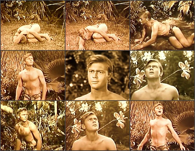 Martin Milner in “The Private Lives of Adam and Eve” (1960), directed by Mickey Rooney and Albert Zugsmith.