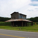 Jones County Tobacco Barn on North Carolina Highway 41 in Jones County, North Carolina.