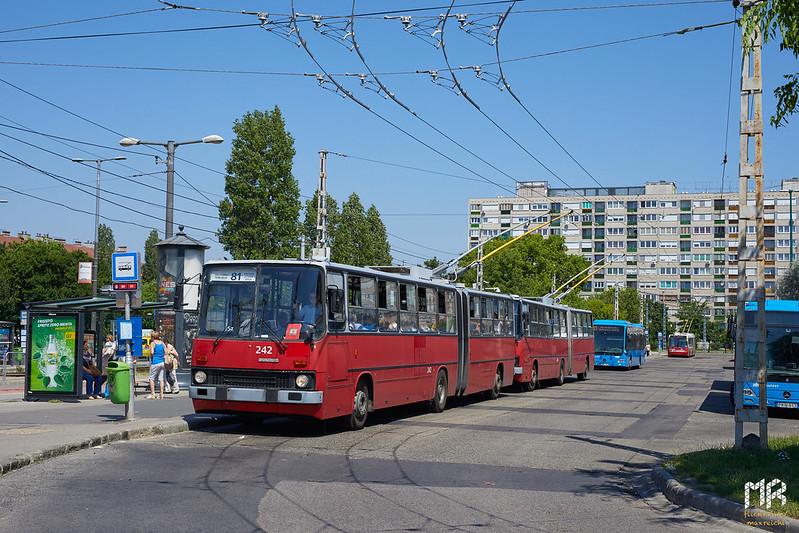 BKV Budapest: Ikarus 280 Trolleybus #242 + 246 | Örs vezér tere M | 11-06-19