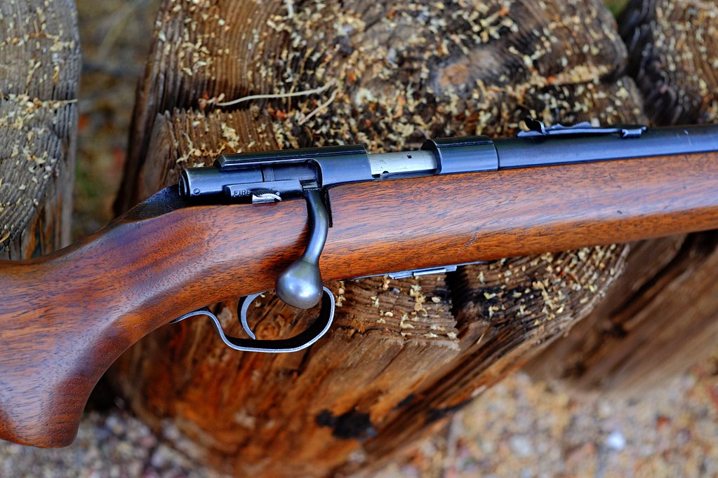 69A Grooved with Serial Number | Rimfire Central Firearm Forum
