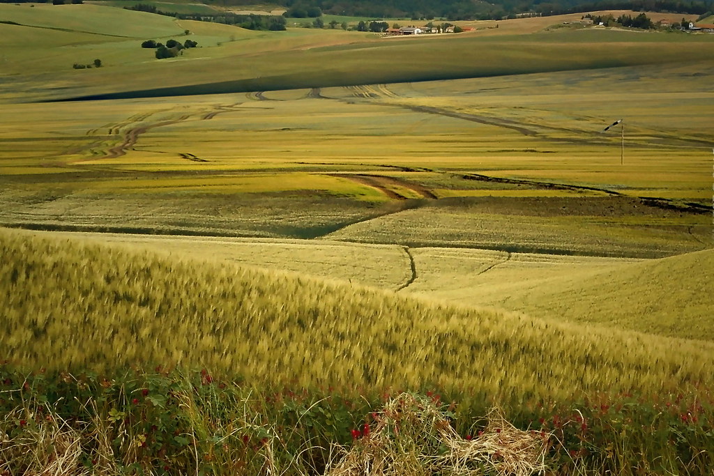 Italia rurale