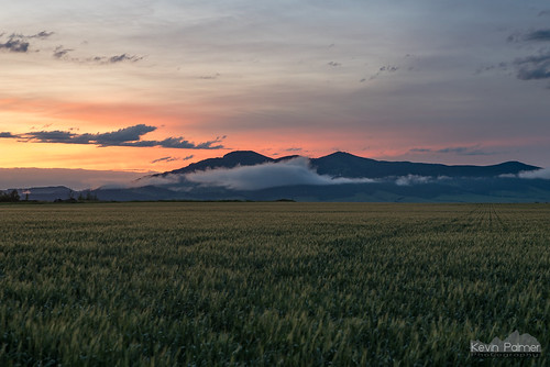 june summer montana nikond750 tamron2470mmf28 sunset color colorful evening sky weather lewistown orange clouds wheat field calm peaceful southmoccasinmountains