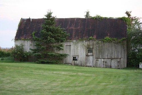 debert novascotia canada old building barn vines rural