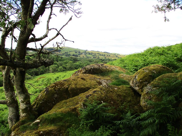 Green Combe Lower Rocks view to Meldon Hill