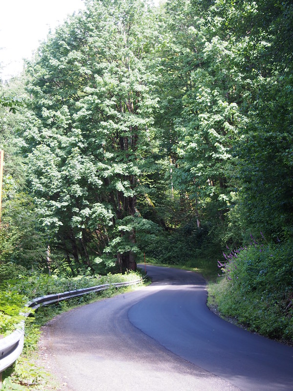 Reiter Road