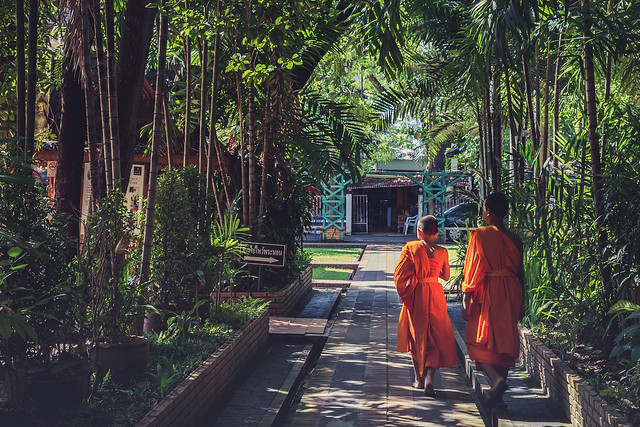 Young Monks at Wat Phra Singh