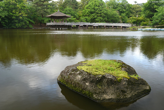 奈良公園・鷺池 ∣ Nara park