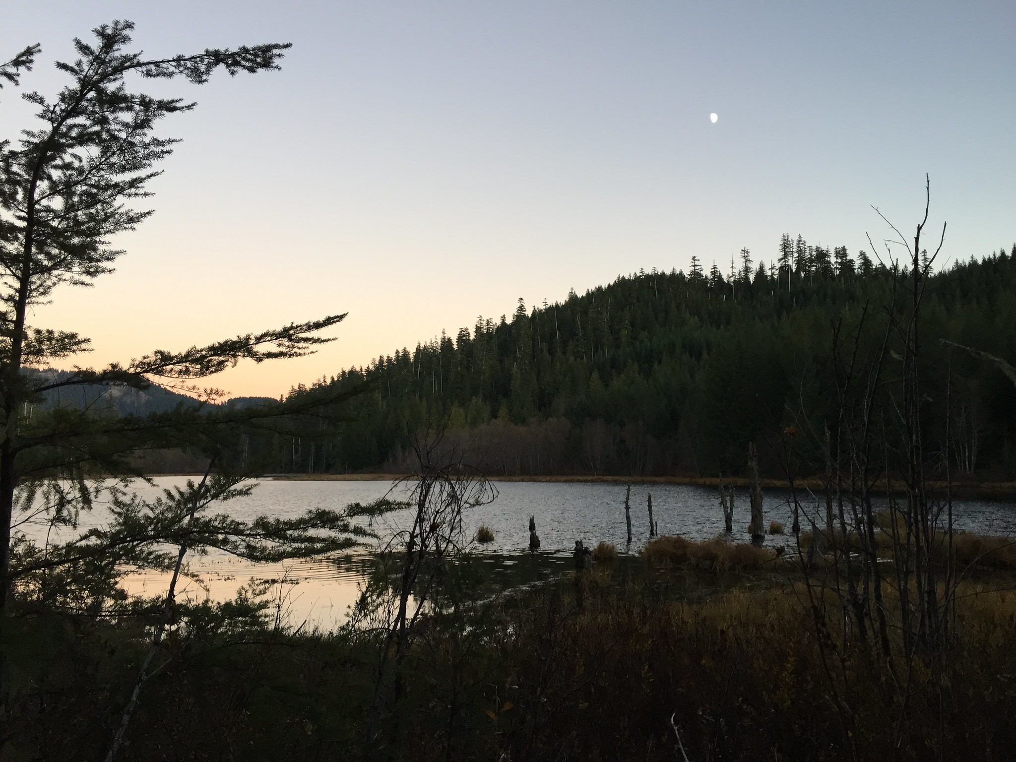 View from the campsite, showing moon rising over a pond above a little mountain
