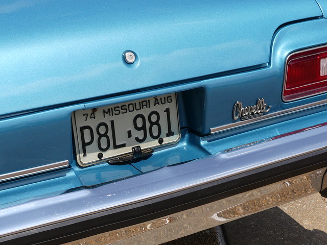 1974 Missouri License Plate_P1020846