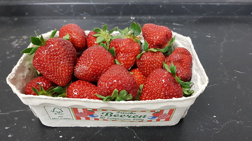 Auf dem Wochenmarkt erworbene Erdbeeren