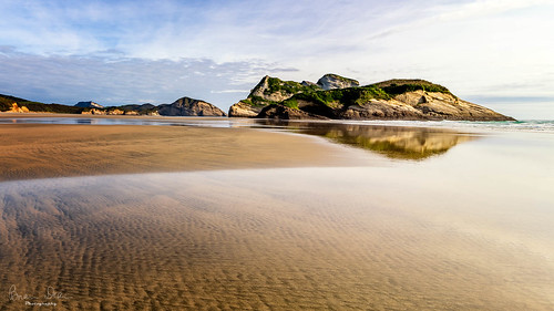 beach slideshow southisland 2019bookpending wharariki 2019tour facebook flickr nztour