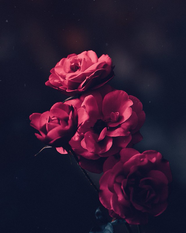 ameen-fahmy-520661-unsplash