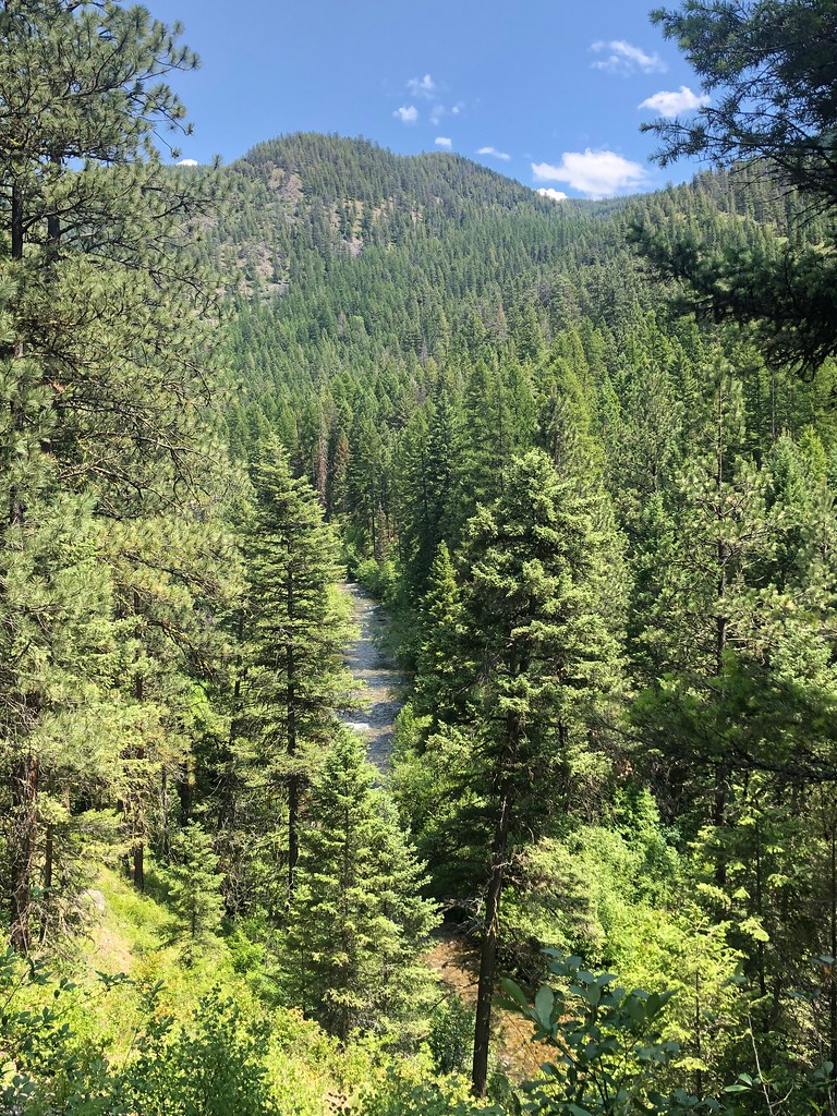 RATTLESNAKE CREEK CUTOFF G