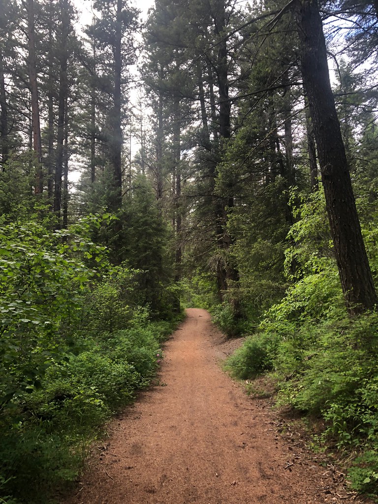 Sheep Mountain